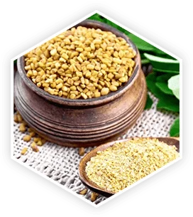 ProstaVive Fenugreek Ingredient