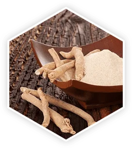 ProstaVive Ashwagandha Ingredient
