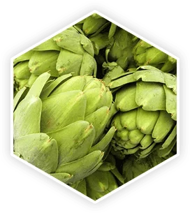 ProstaVive Artichoke Extract Ingredient